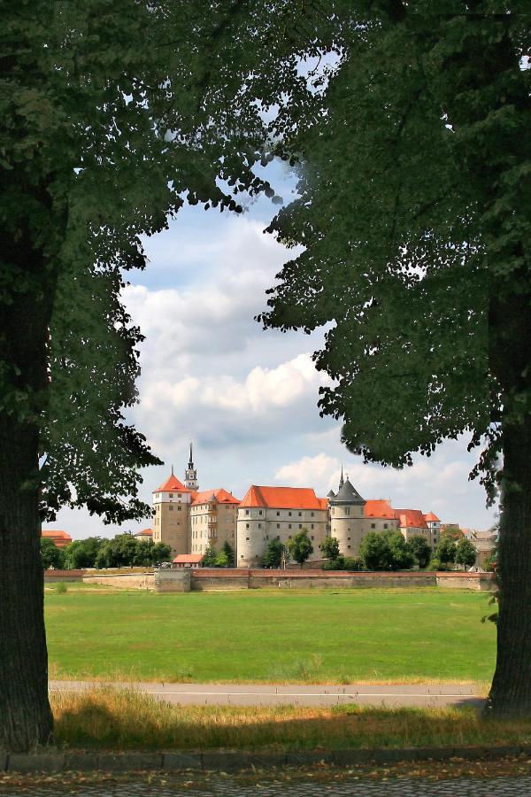 Hotel-Pension Zum Markt Torgau Kültér fotó